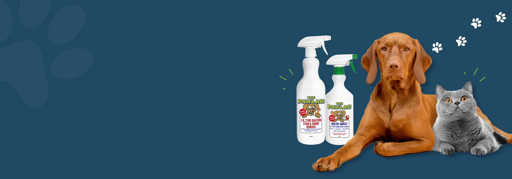 Stubborn Stains Gone For Good